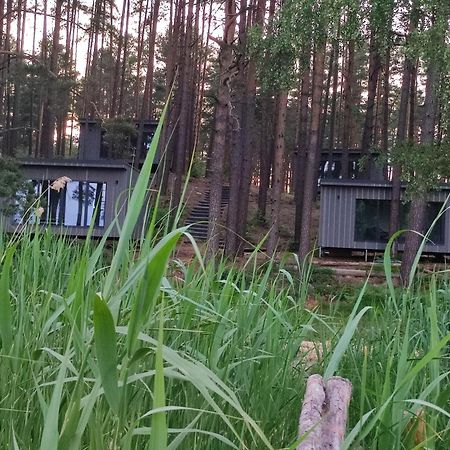 Gaujaclub - Our Bose And Bang&Olufsen Lofts On A Lake Gauja  Exterior photo